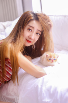 单身女王电视剧